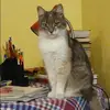 Отзыв от Элла Быкова